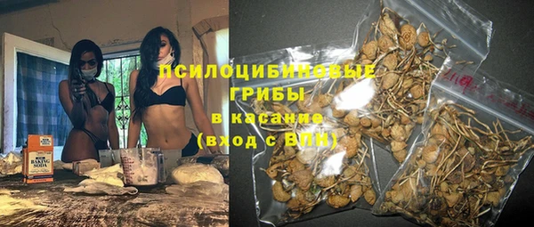 прущие крисы Осинники