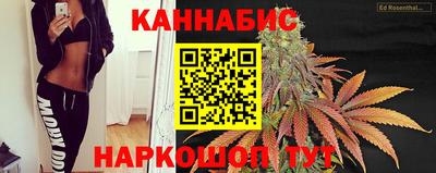 твердый Камышлов