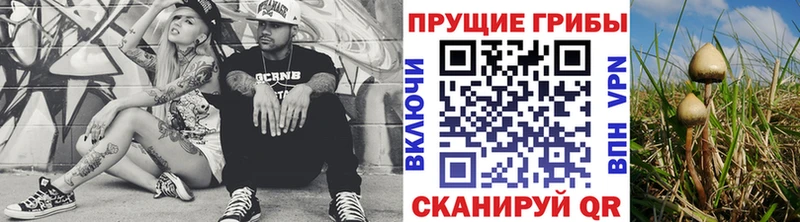цена наркотик  Махачкала  blacksprut ССЫЛКА  Галлюциногенные грибы Psilocybe 