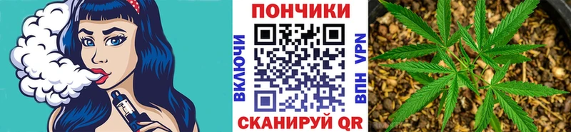 Шишки марихуана план  дарнет шоп  Махачкала 